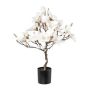 Albero artificiale magnolia DOLS, tronco artificiale, con fiori, innevato, 60 cm