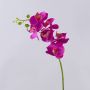 Ramo artificiale di orchidea phalaenopsis OPHELIA, fucsia, 80cm, Ø8-9cm