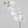 Ramo artificiale di orchidea phalaenopsis OPHELIA, bianco, 80cm