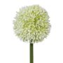 Fiore decorativo Allium MENKES, bianco, 65 cm