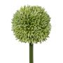 Fiore decorativo Allium MENKES, verde, 65 cm