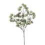 Ramo decorativo di cedro SNALTI con pigne, congelato, bianco-verde, 45cm