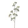Ramo decorativo di cedro SNALTI con pigne, congelato, bianco-verde, 65 cm