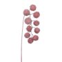 Decorazione ramo platano FLERMO con frutti, pendente, congelato, rosa antico, 60 cm
