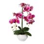 Fiore artificiale orchidea Phalaenopsis KASDA, vaso in ceramica, radici, rosa, 50 cm