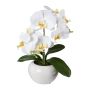 Fiore artificiale orchidea Phalaenopsis KASDA, vaso in ceramica, bianco, 35 cm