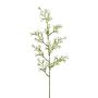 Ramo decorativo fiore stellato KLIRMO, bianco, 60 cm