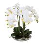 Orchidea Phalaenopsis in tessuto MANULO, vaso in ceramica argento, radici, bianco, 40 cm