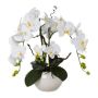 Composizione decorativa orchidea salice contorto LULUDI, vaso in ceramica bianco, radici, bianco, 55 cm