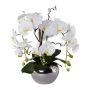 Decorazione orchidea salice contorto LULUDI, vaso in ceramica argento, radici bianche, 55 cm