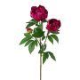 Ramo decorativo peonia SLORVE, cerise, 70 cm