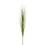 Ramo decorativo giunco palustre TERVO, verde, 115 cm