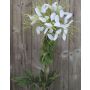 Fiore ragno artificiale HILDEGARD, bianco, 85cm