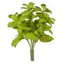 Erba decorativa basilico KRITIKA su bastoncino, verde, 28 cm