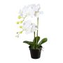 Fiore artificiale Phalaenopsis Orchidea WENJAN, vaso decorativo, radici, bianco, 55 cm
