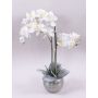Orchidea phalaenopsis artificiale KAREN, vaso decorativo, ghiacciato, bianco, 60cm