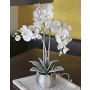 Orchidea phalaenopsis artificiale KAREN, vaso decorativo, ghiacciato, bianco, 60cm