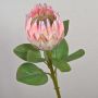 Ramo decorativo di protea reale TANIEKA, rosa-bianco, 65 cm