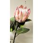 Ramo decorativo di protea reale TANIEKA, rosa-bianco, 70 cm