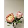 Ramo decorativo di protea reale TANIEKA, rosa-bianco, 70 cm