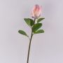 Ramo decorativo di protea reale TANIEKA, rosa-bianco, 70 cm