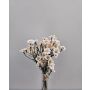 Bouquet di fiori artificiali crisantemi piccoli WEMKE, bianco-crema, 35 cm, Ø 13 cm