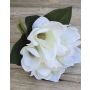 Mazzo di magnolie artificiali KAYLE, crema-bianco, 30cm