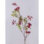 Ramo di bacche di sambuco artificiali THEYGE con frutti, rosso, 75cm