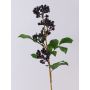 Ramo finto di bacche di sambuco CHATANGA con frutti, rosso bordeaux-nero, 60cm