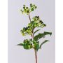Ramo finto di bacche di sambuco CHATANGA con frutti, verde-rosso, 60cm