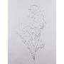 Ramo di salice decorativo DONATELLA, argento, 95cm