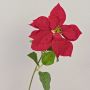 Poinsettia artificiale in velluto LIBASSE, rossa, 65 cm