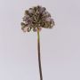 Fiore artificiale ortensia MANDISA, verde-rosa, 45cm, Ø16cm