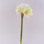 Fiore decorativo amarillide MARKUNO, bianco crema, 60 cm