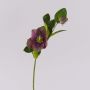 Rosa di Natale artificiale MITTWEIDA, viola-verde, 35cm