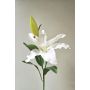 Fiore artificiale giglio tigrato MYZANS, bianco crema, 70 cm