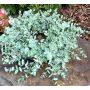 Ghirlanda artificiale di eucalipto JULERTE, verde-grigio, Ø 40 cm