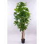 Schefflera artificiale MURSIK, tronchi veri, verde, 180cm