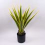 Agave furcraea gigantea artificiale CHERIE, verde-giallo, 80cm
