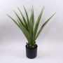 Agave furcraea gigantea artificiale CHERIE, verde-grigio, 80cm