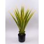 Agave furcraea gigantea artificiale CHERIE, verde-giallo, 100cm