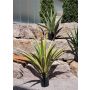 Agave furcraea gigantea artificiale CHERIE, verde-giallo, 100 cm