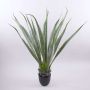 Agave furcraea gigantea artificiale CHERIE, verde-grigio, 100cm