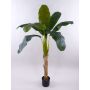 Pianta artificiale banano SHARA, 150cm
