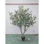 Albero di eucalipto artificiale KEYLAM, tronco artificiale, vaso decorativo, verde-grigio, 250 cm
