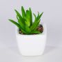 Pianta di agave americana artificiale KATNISS, vaso in ceramica, verde, 8 cm