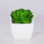 Echeveria elegans decorativa KATNISS, vaso in ceramica, verde, 6 cm