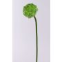 Carciofo decorativo ABUKUMA, verde, 50 cm