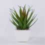 Agave decorativa KATNISS in vaso di ceramica, verde-rosso, 19 cm