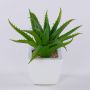 Aloe vera decorativa KATNISS, vaso di ceramica, verde, 19 cm